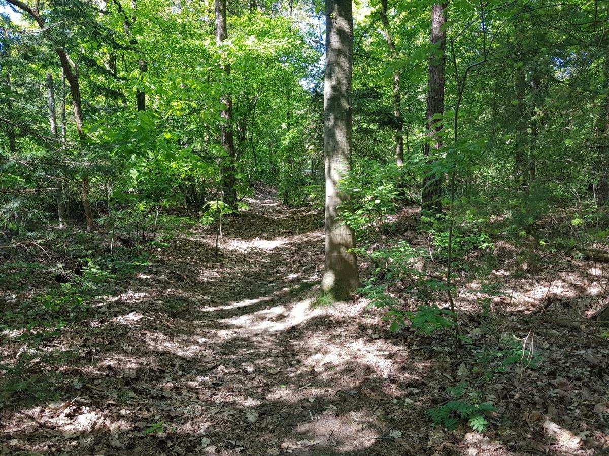 Knusse 5 Persoons Bungalow Hartje Veluwe Otterlo Zewnętrze zdjęcie