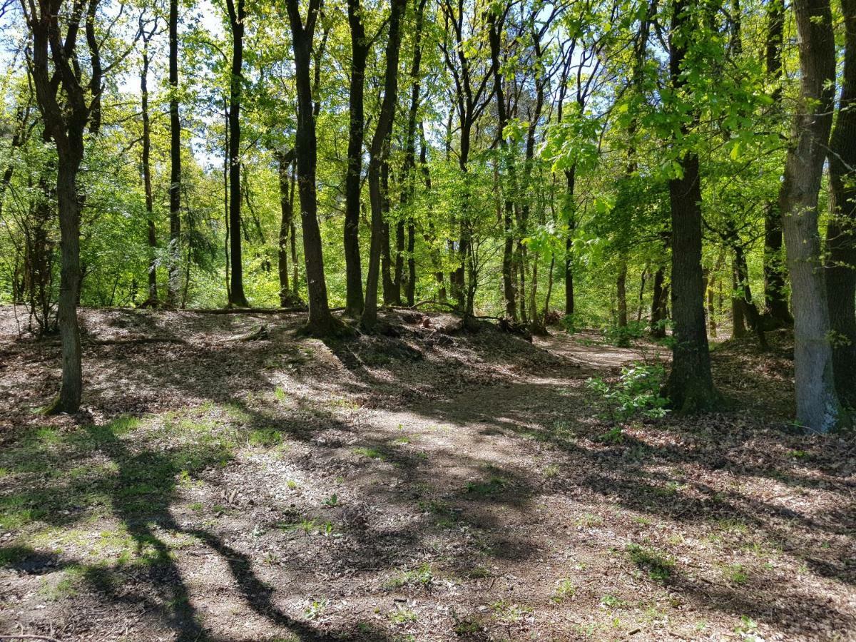 Knusse 5 Persoons Bungalow Hartje Veluwe Otterlo Zewnętrze zdjęcie