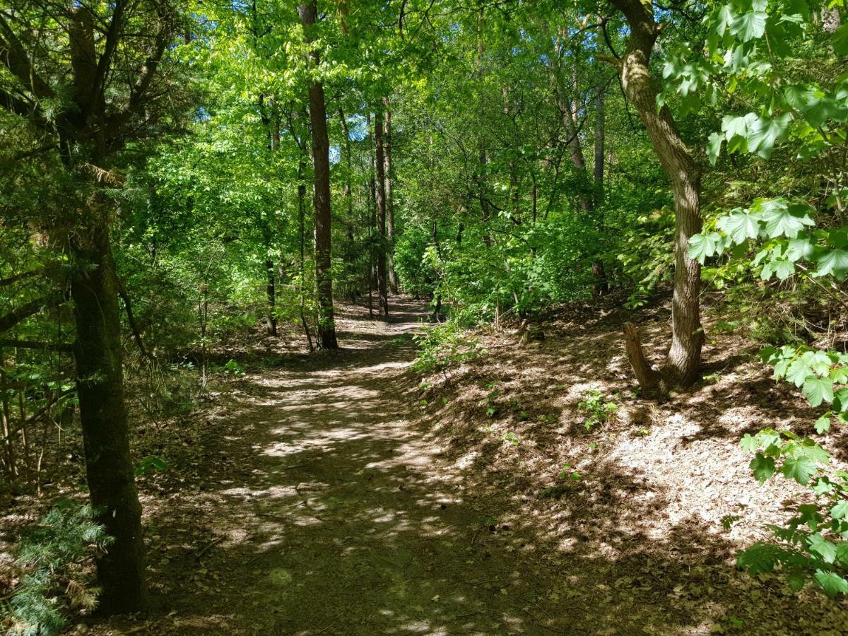 Knusse 5 Persoons Bungalow Hartje Veluwe Otterlo Zewnętrze zdjęcie