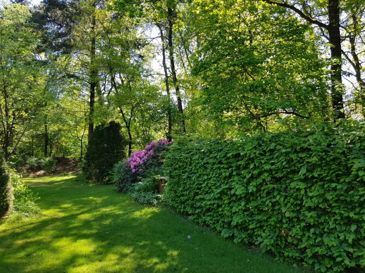 Knusse 5 Persoons Bungalow Hartje Veluwe Otterlo Zewnętrze zdjęcie