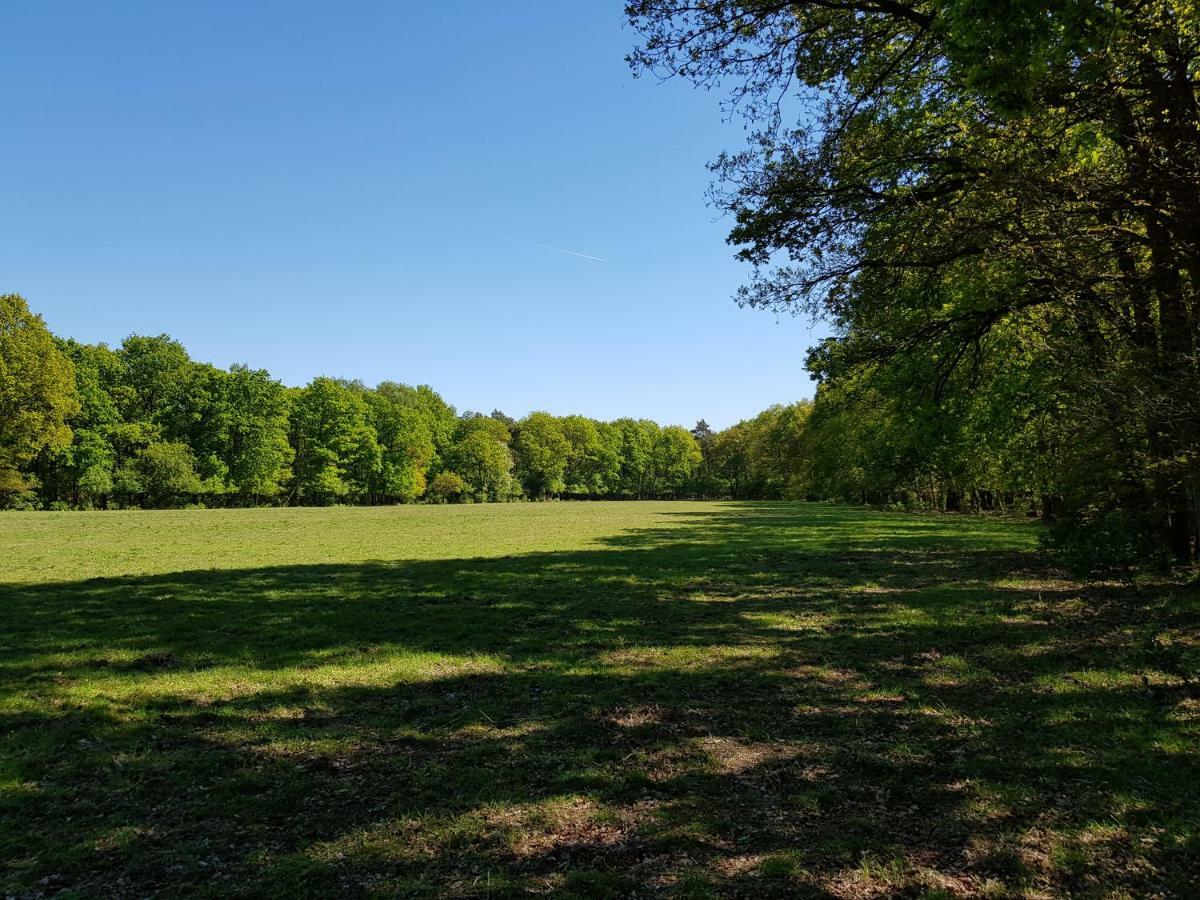 Knusse 5 Persoons Bungalow Hartje Veluwe Otterlo Zewnętrze zdjęcie