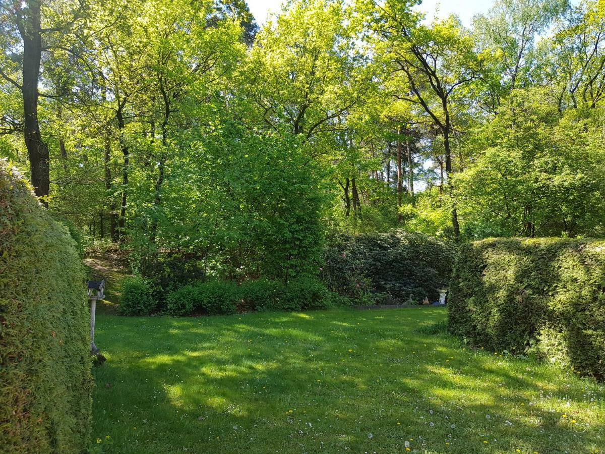 Knusse 5 Persoons Bungalow Hartje Veluwe Otterlo Zewnętrze zdjęcie